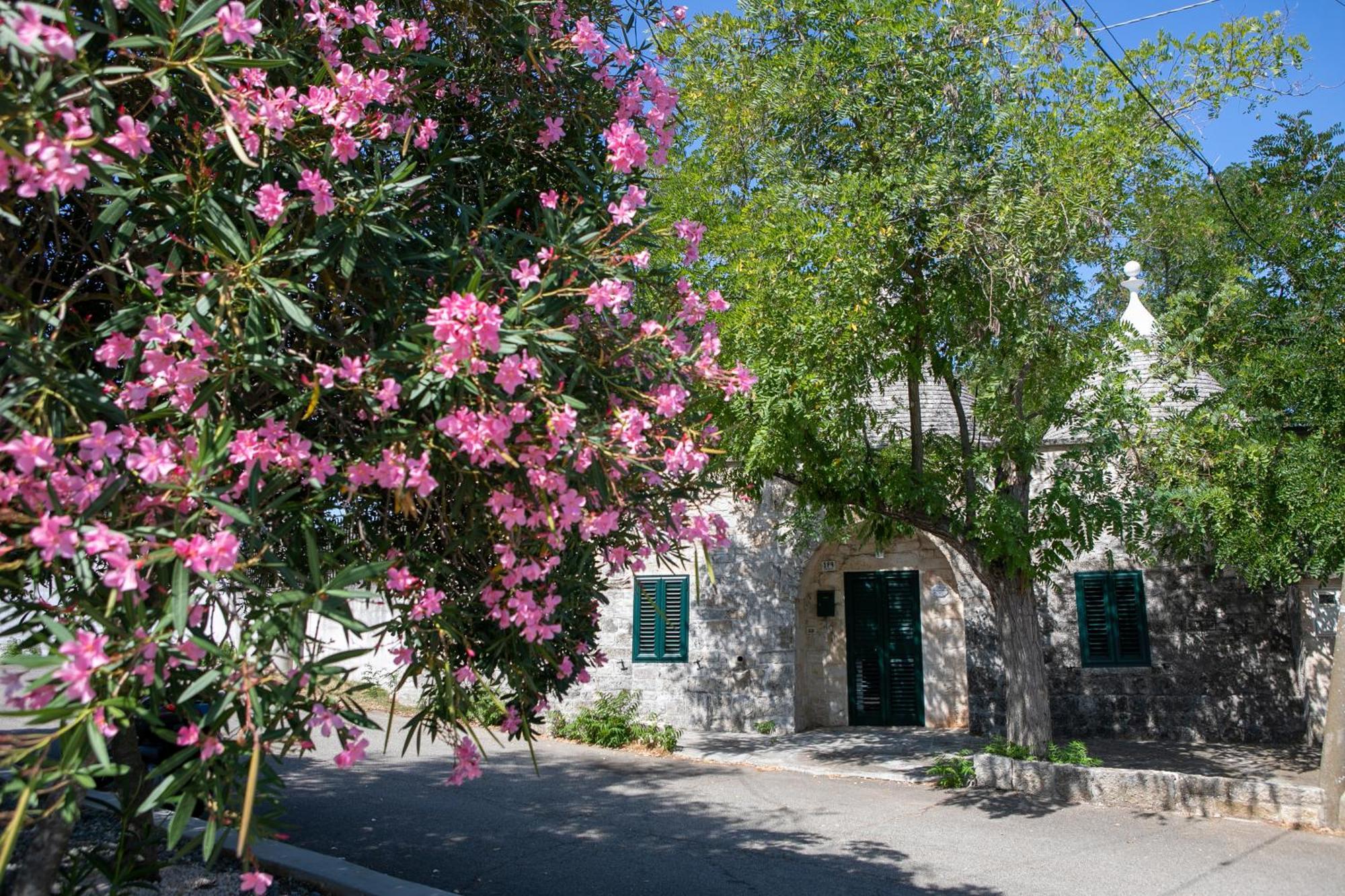 Angolo Di Puglia Locorotondo Zewnętrze zdjęcie