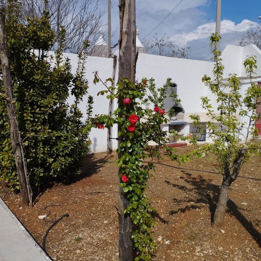 Angolo Di Puglia Locorotondo Zewnętrze zdjęcie